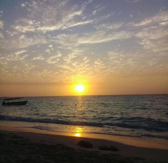 酒店 Pura Vida Baru La Casa Del Cholo