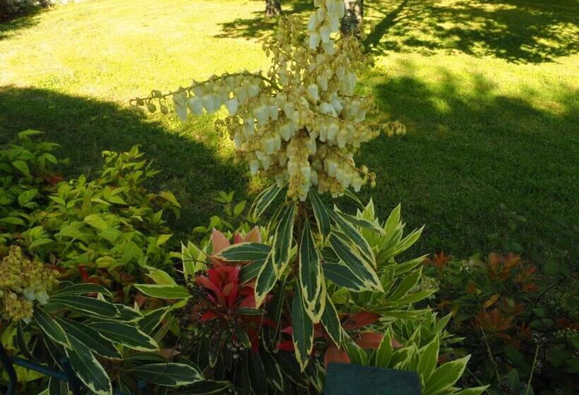 فندق Solar Das Laranjeiras