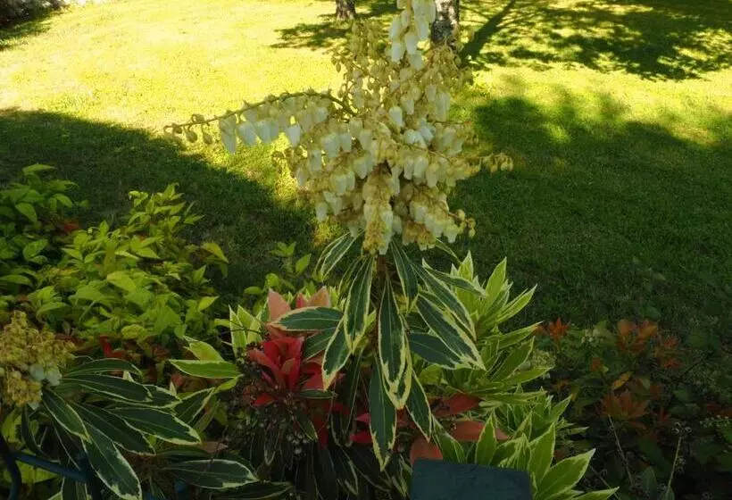 Hotelli Solar Das Laranjeiras