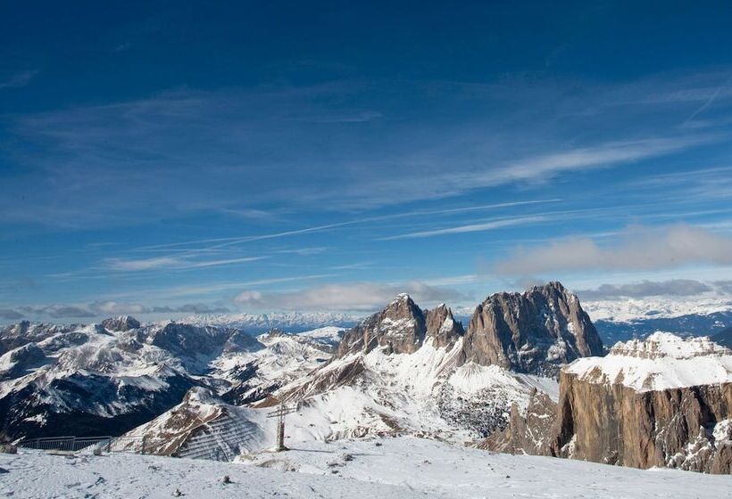 فندق Vidor Resort