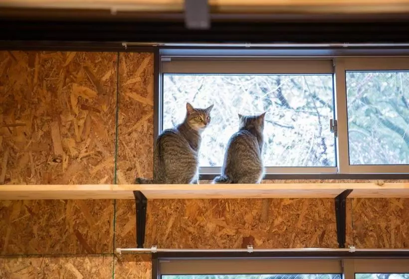 Nekokura Hostel