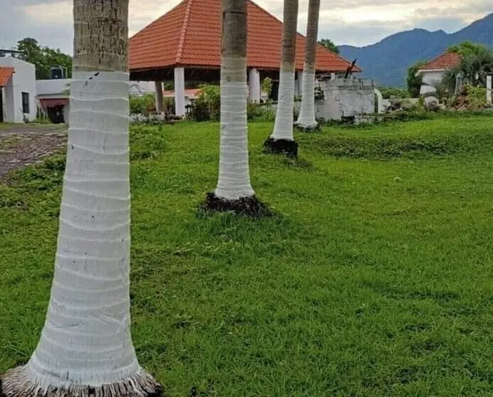 ホテル Cabañas Las Tres Marias