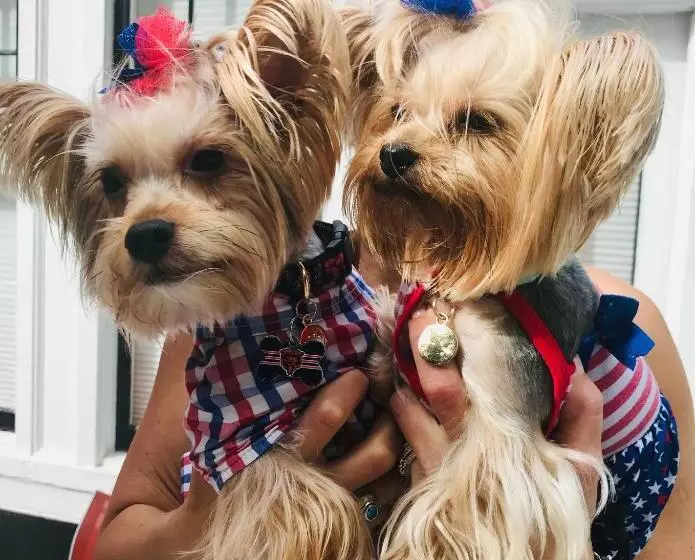 ベッドアンドブレックファースト Bluefield Inn, A Select Registry Propery