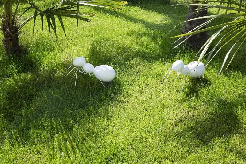 Boutique Hotel Des Xv