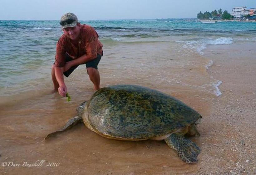 Отель Nirvana Beach Boutique