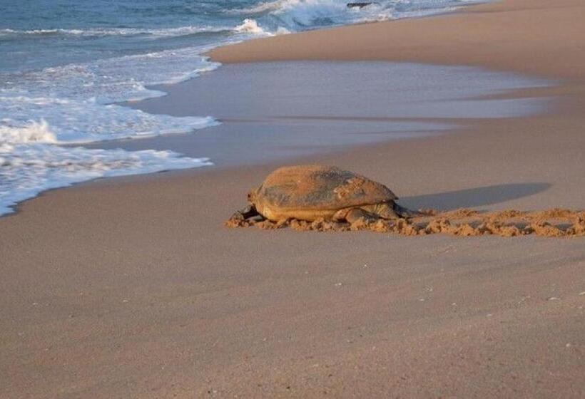 Отель Nirvana Beach Boutique