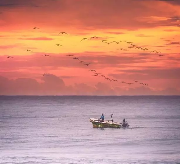 ホテル Nirvana Beach Boutique