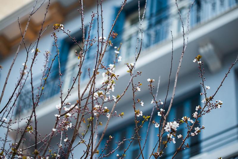 فندق Bahar Boutique