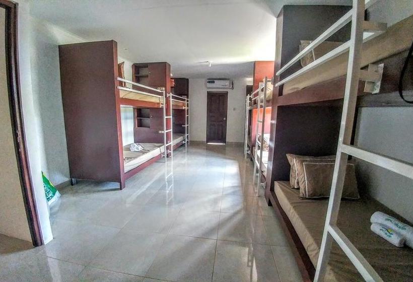 Hotel Bali Utopia Backpacker