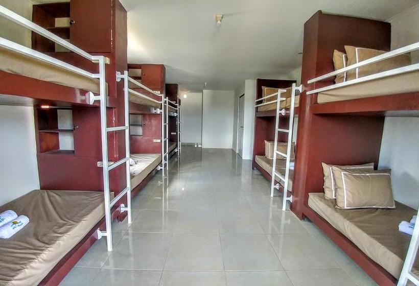 Hotel Bali Utopia Backpacker