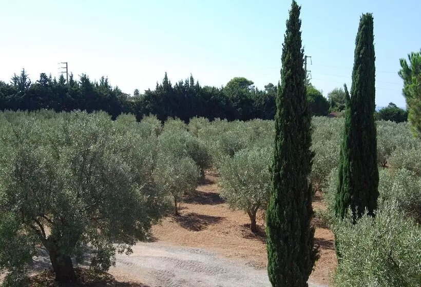 ホテル Fattoria Il Borghetto