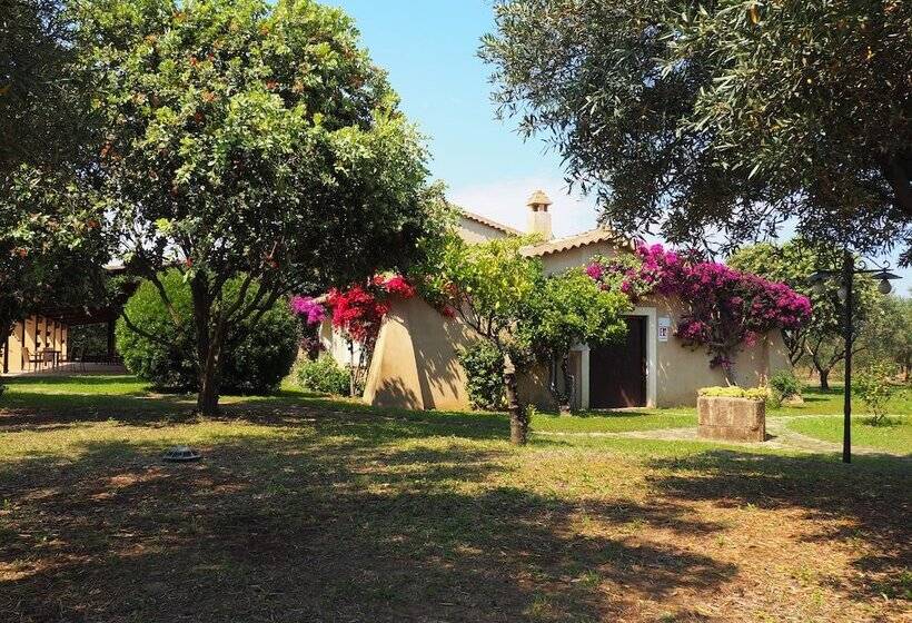 هتل Fattoria Il Borghetto