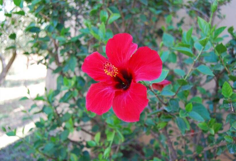 هتل Fattoria Il Borghetto