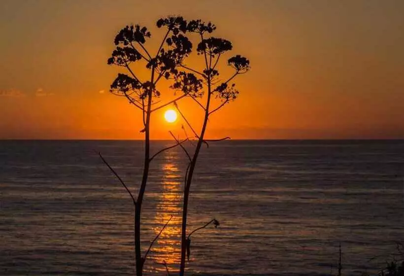 ホテル Fattoria Il Borghetto
