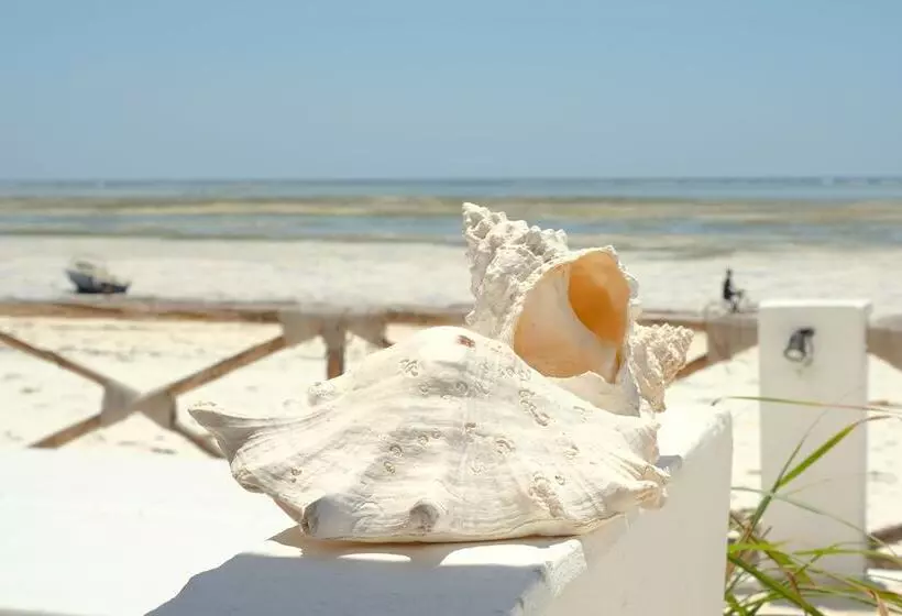 ホテル Makuti Beach Bungalows