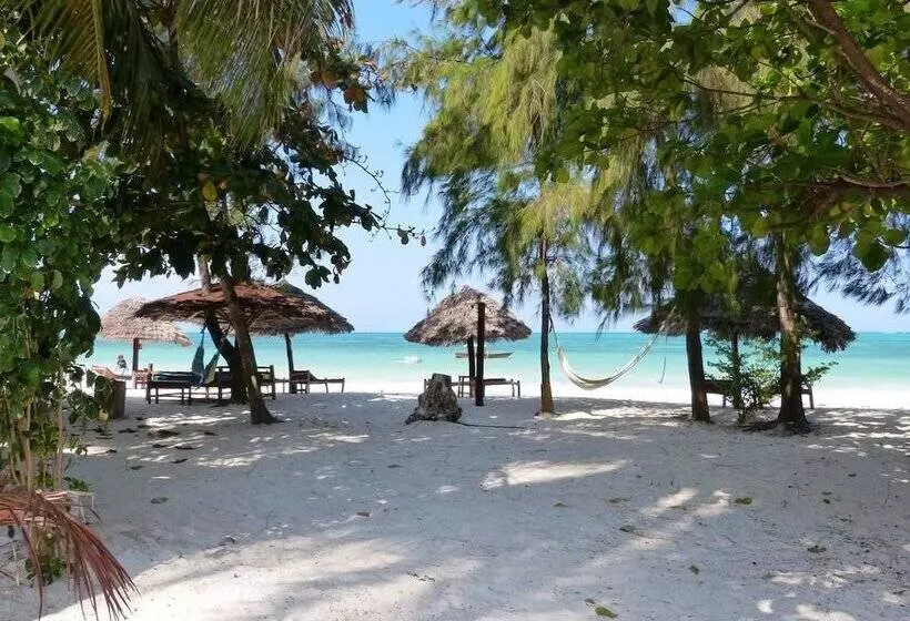 ホテル Makuti Beach Bungalows