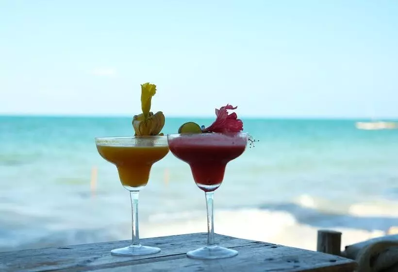 ホテル Makuti Beach Bungalows