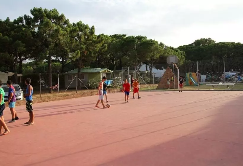 ホテル Camping Neptuno