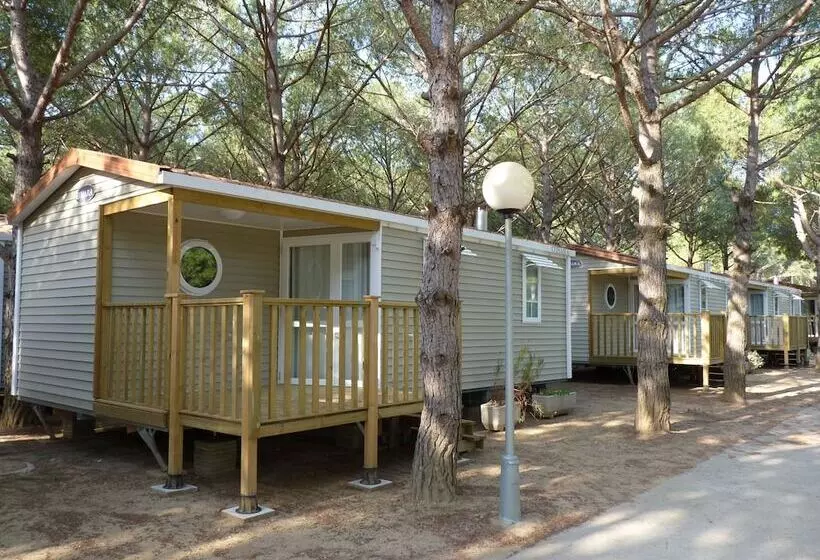 ホテル Camping Neptuno