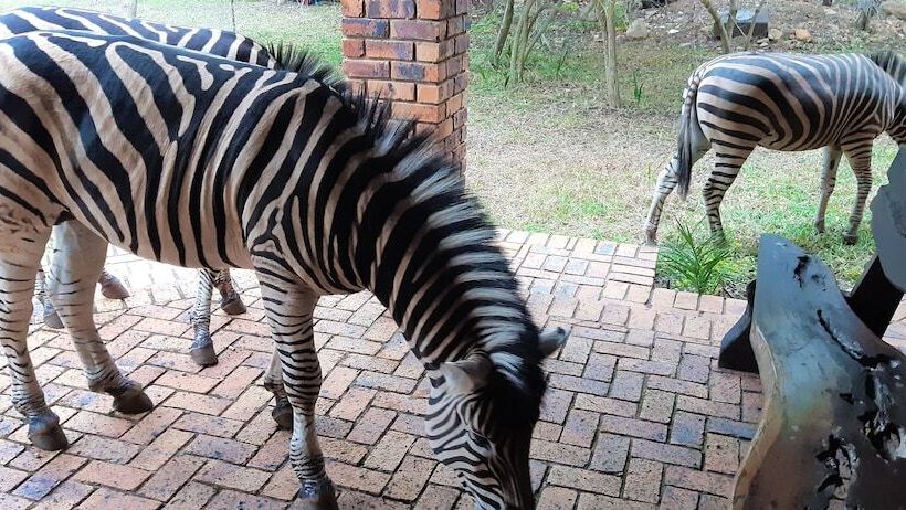 فندق Kruger Riverside Lodge   No Load Shedding