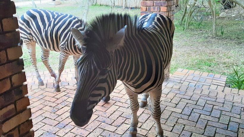 فندق Kruger Riverside Lodge   No Load Shedding