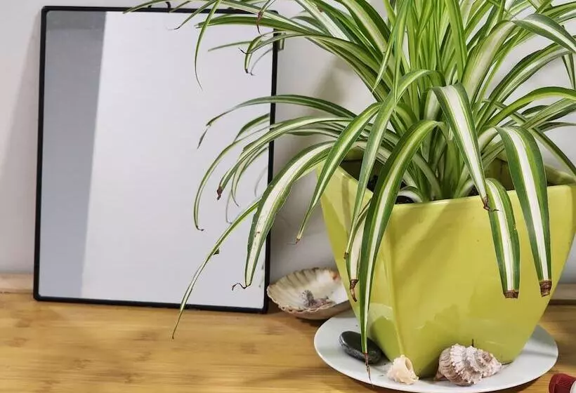 Hotelli Newton Lodge Auckland