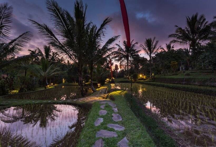 فندق Prana Dewi Mountain Resort