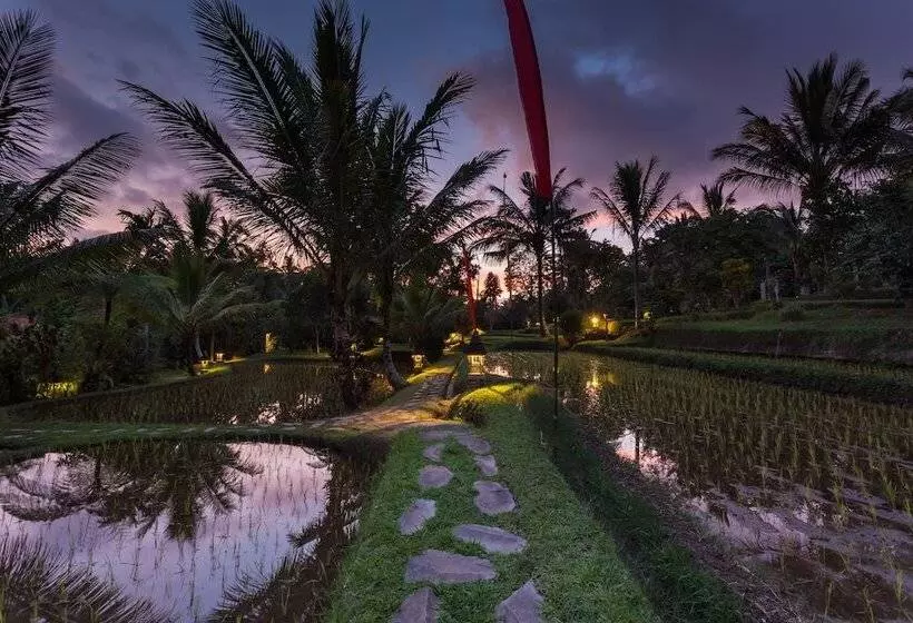هتل Prana Dewi Mountain Resort