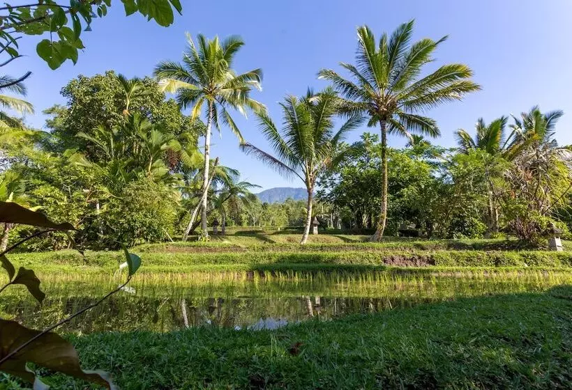هتل Prana Dewi Mountain Resort