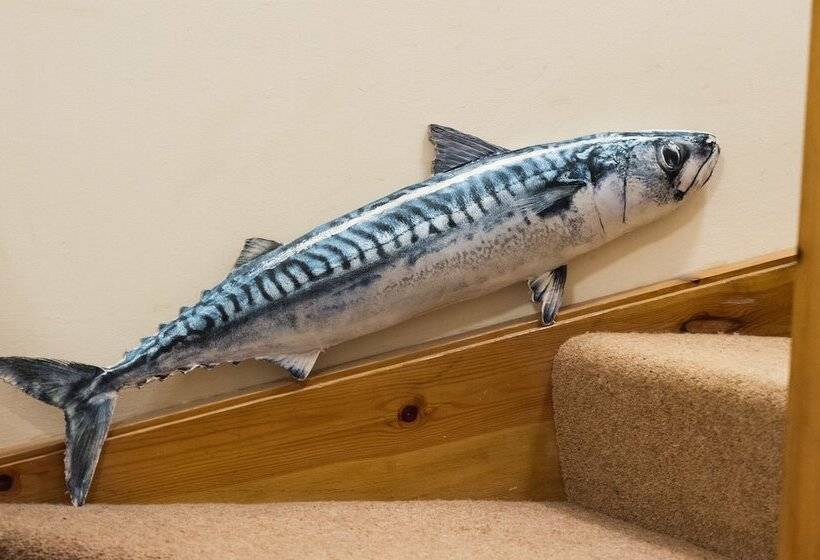 호텔 Sharamore House