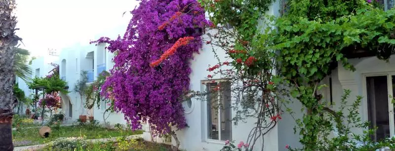 ホテル Tamarisk Murat