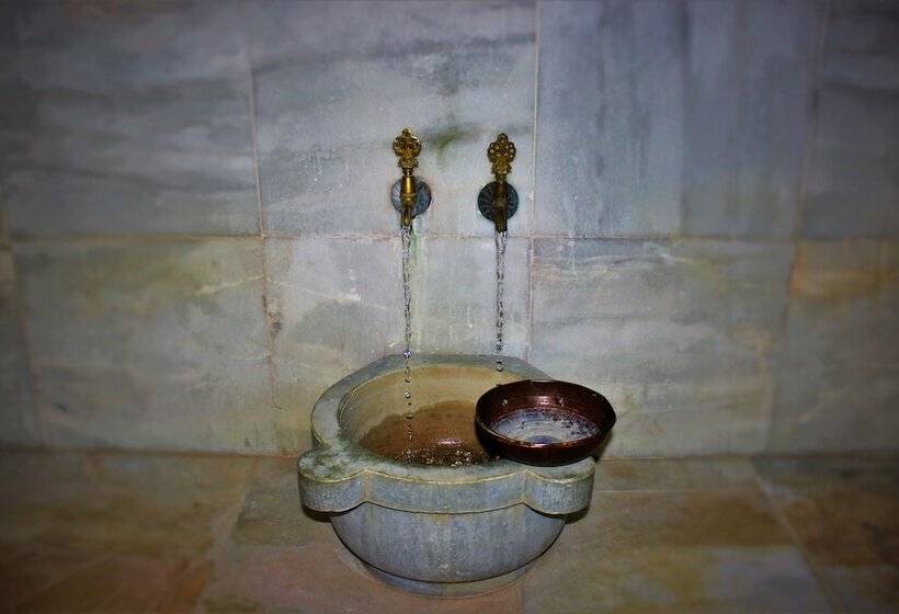 בית מלון כפרי Halici