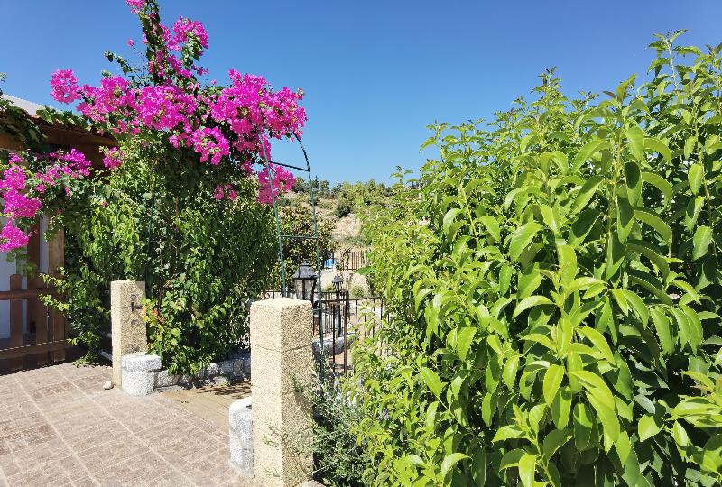 Vlycha Beach Apartments