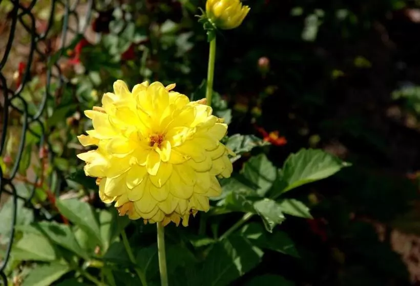 Cradog Farmhouse B&b