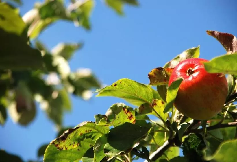 Cradog Farmhouse B&b