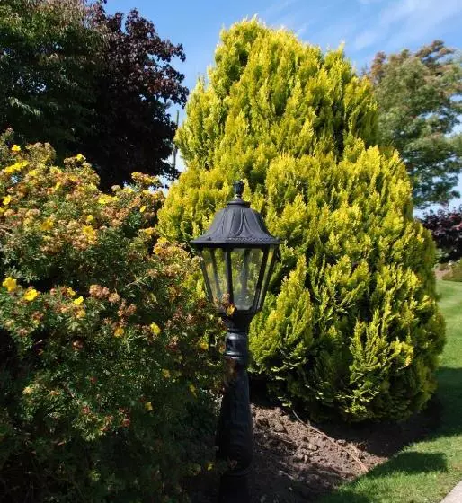 Cradog Farmhouse B&b