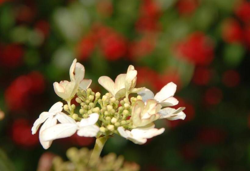 Cradog Farmhouse B&b