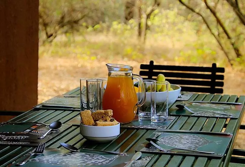 ホテル Burchell's Bush Lodge