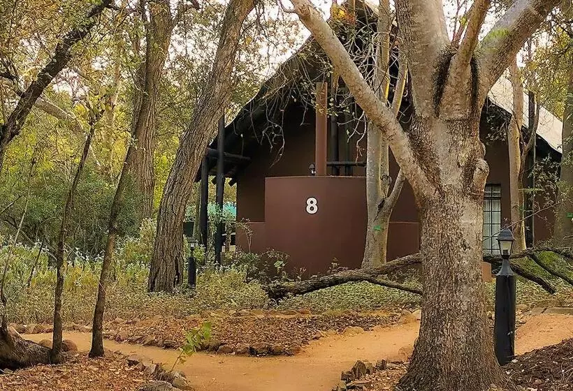 ホテル Burchell's Bush Lodge