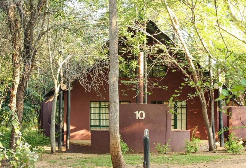 Отель Burchell's Bush Lodge