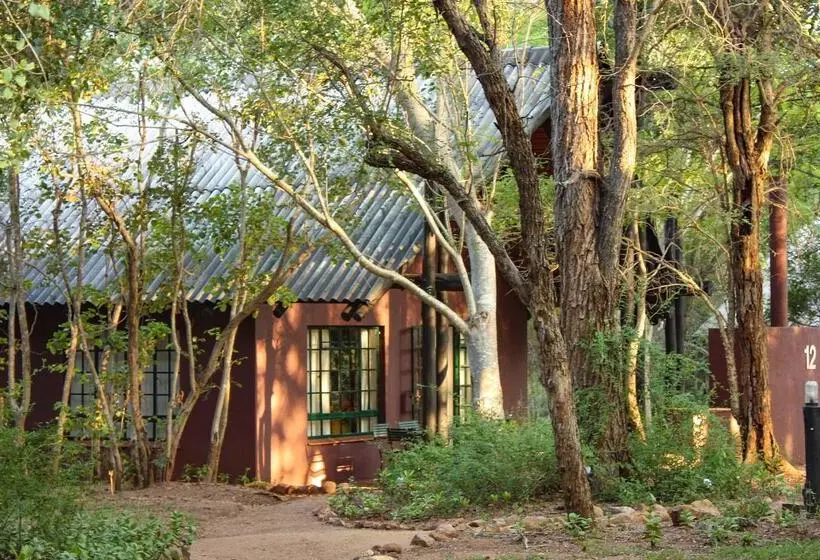 ホテル Burchell's Bush Lodge