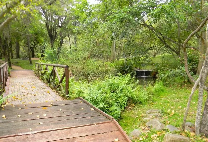 ホテル Burchell's Bush Lodge