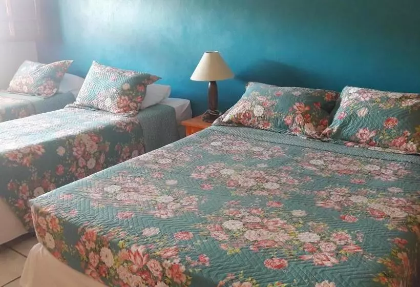 ホテル Pousada Bemvira