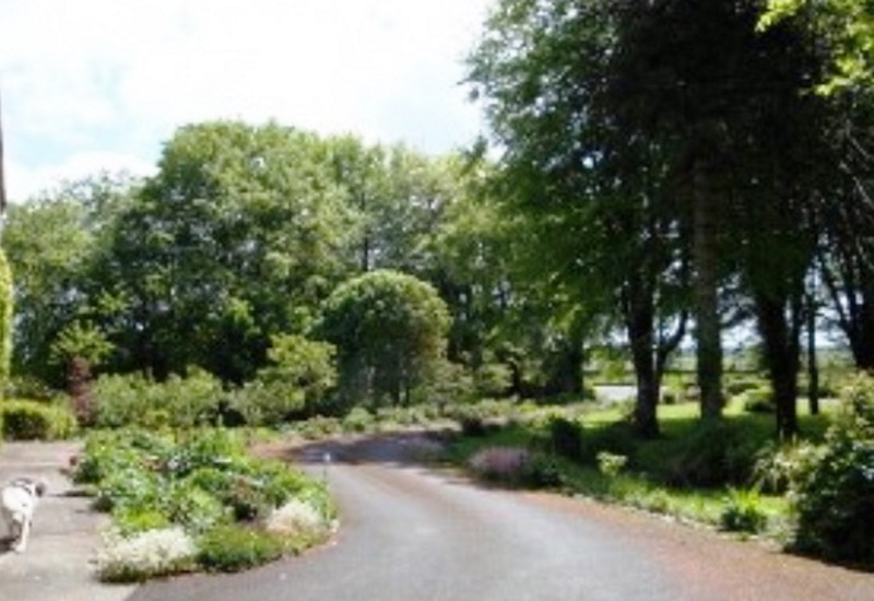 St Anne's Bed & Breakfast