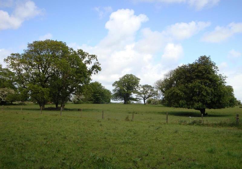 St Anne's Bed & Breakfast