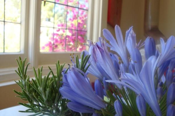 호텔 Blue Cliffs Retreat