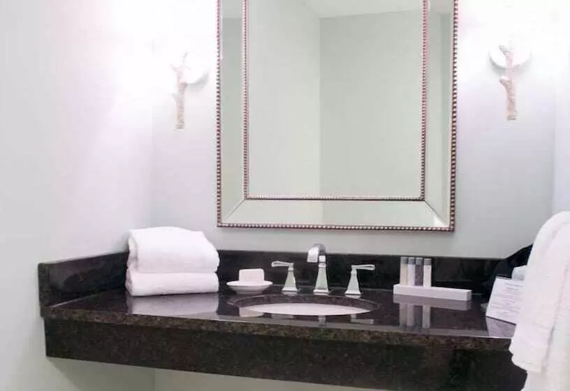 ホテル Carriage House Inn