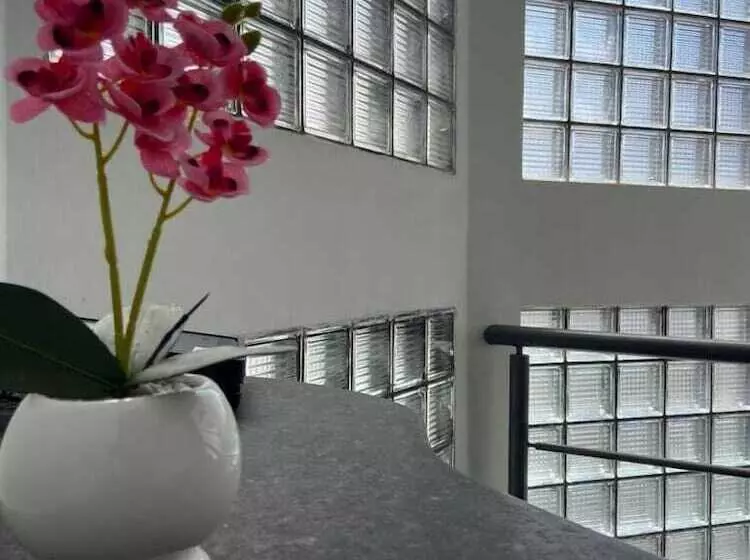 ホテル Pousada Trip Inn Recife