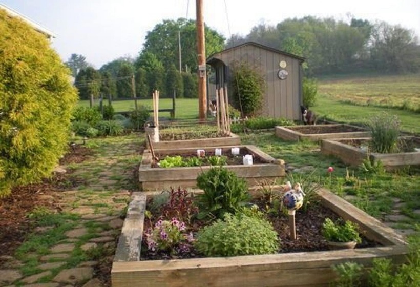 فندق Red Cardinal Bed And Breakfast