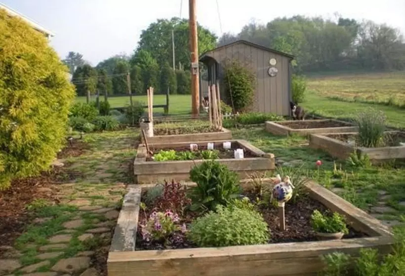 Hotelli Red Cardinal Bed And Breakfast